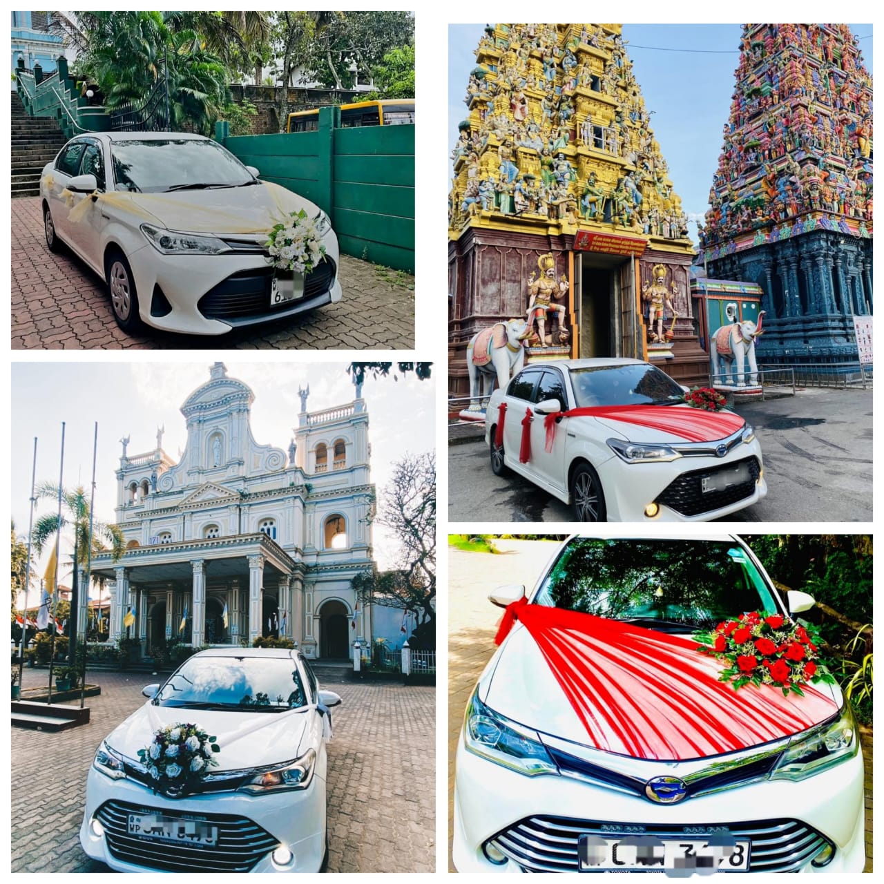 WhatsApp Image 2025 07 15 at 17.45.34